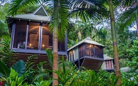 Daintree Ecolodge