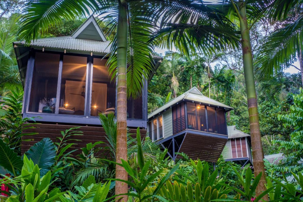 Daintree Ecolodge Экстерьер фото