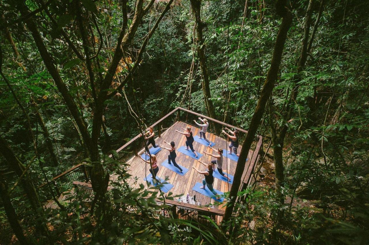 Daintree Ecolodge Экстерьер фото