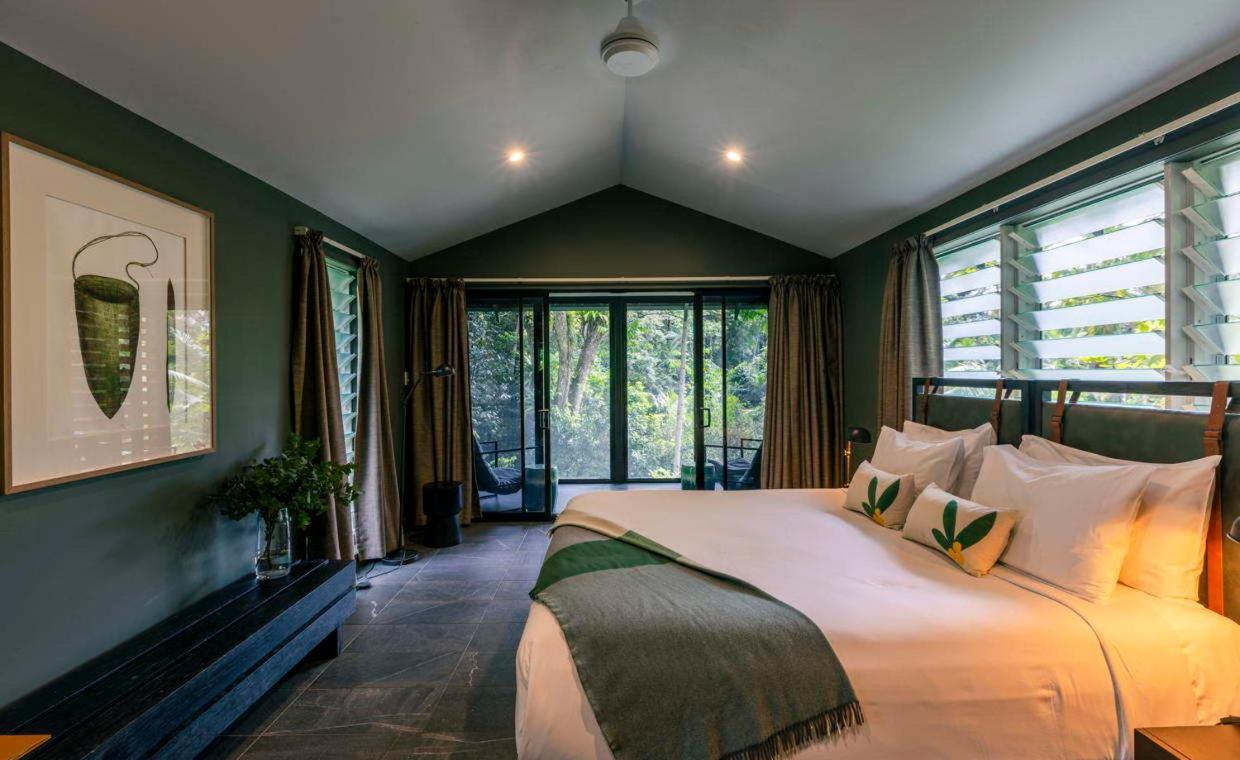 Daintree Ecolodge Экстерьер фото