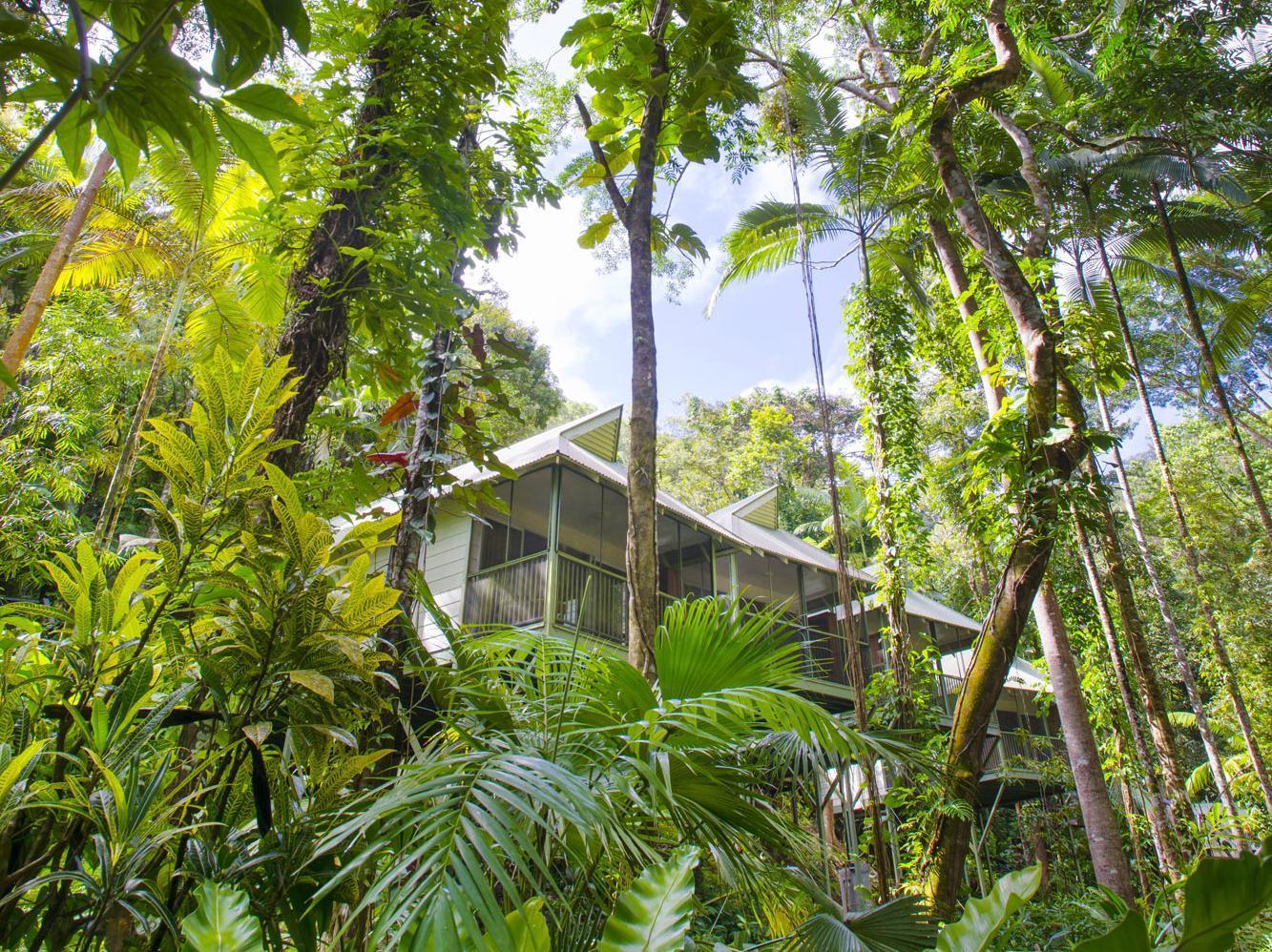 Daintree Ecolodge Экстерьер фото