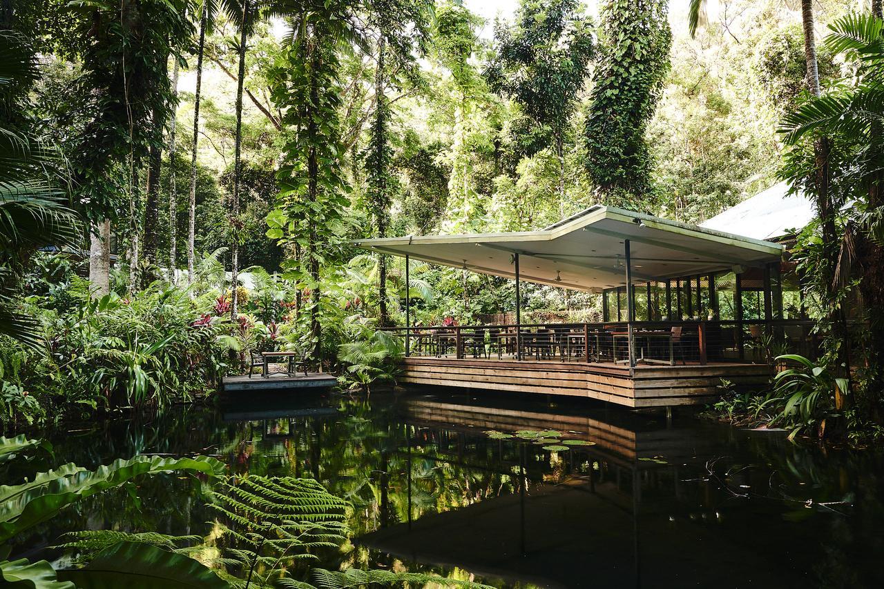 Daintree Ecolodge Экстерьер фото