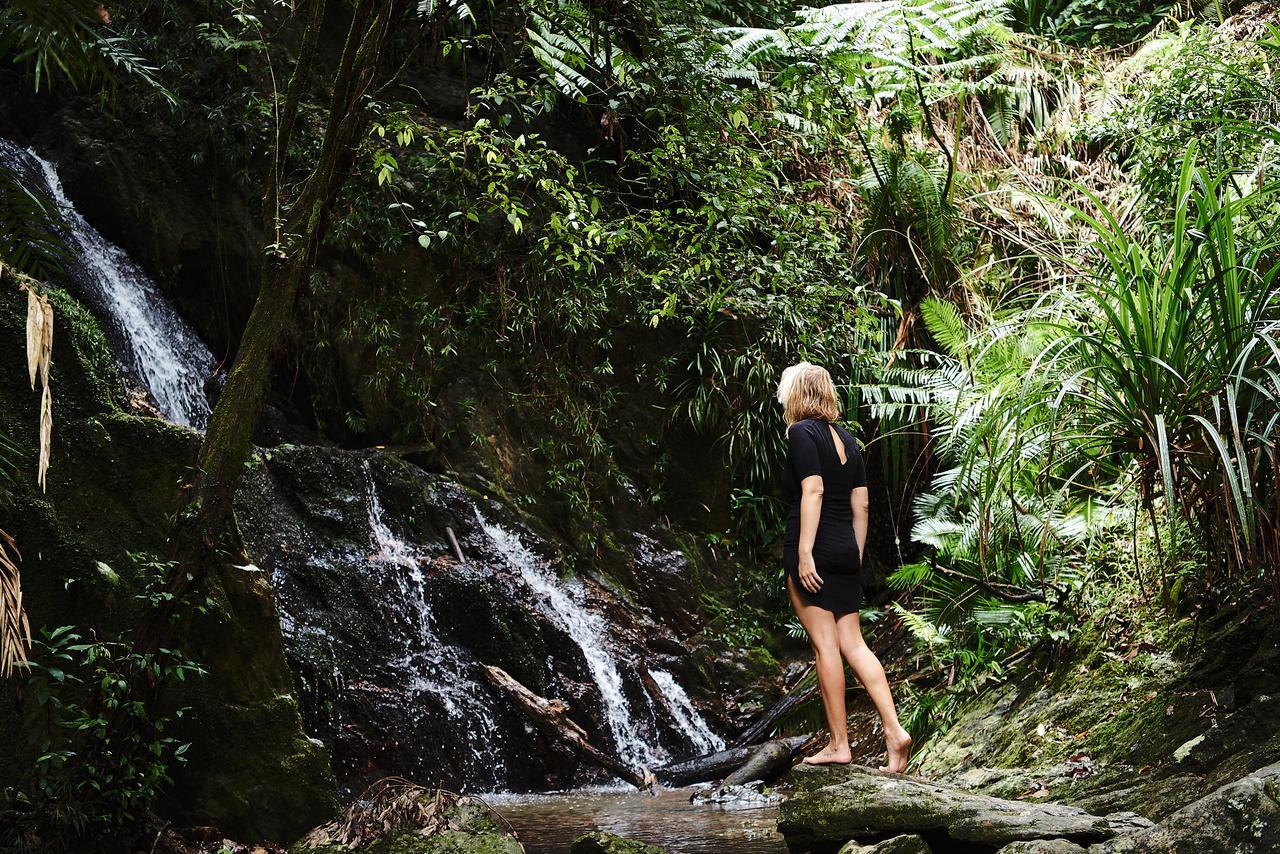 Daintree Ecolodge Экстерьер фото