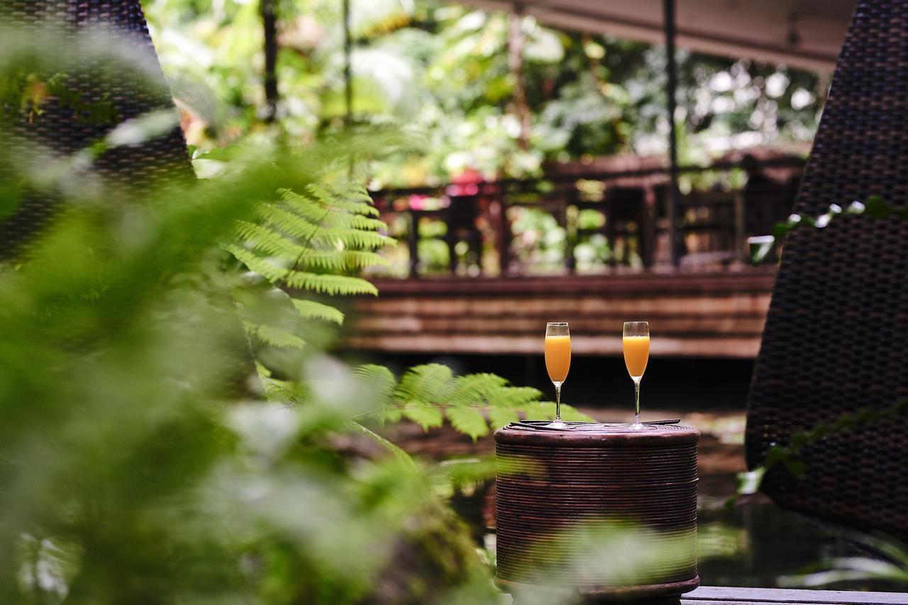 Daintree Ecolodge Экстерьер фото