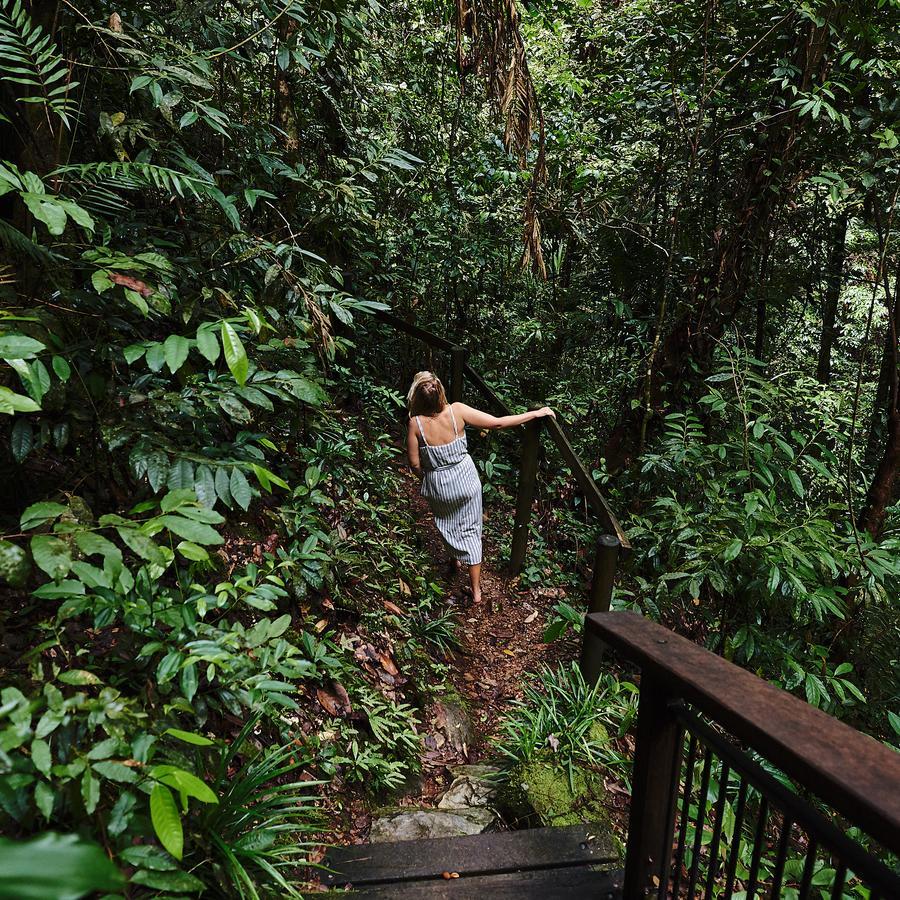 Daintree Ecolodge Экстерьер фото