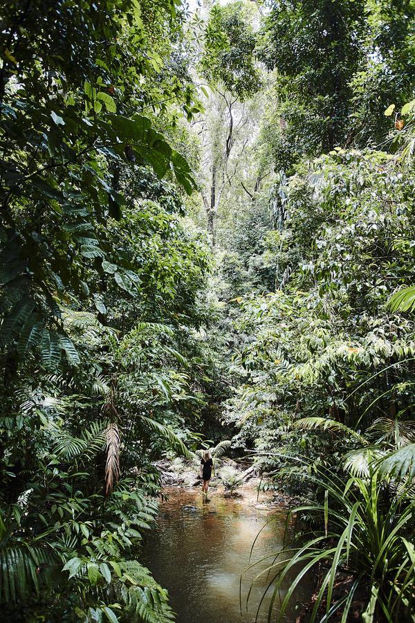 Daintree Ecolodge Экстерьер фото