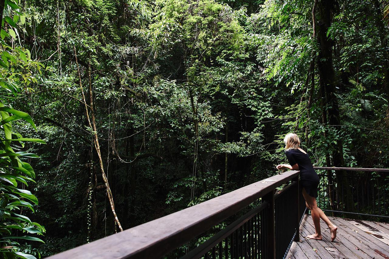 Daintree Ecolodge Экстерьер фото