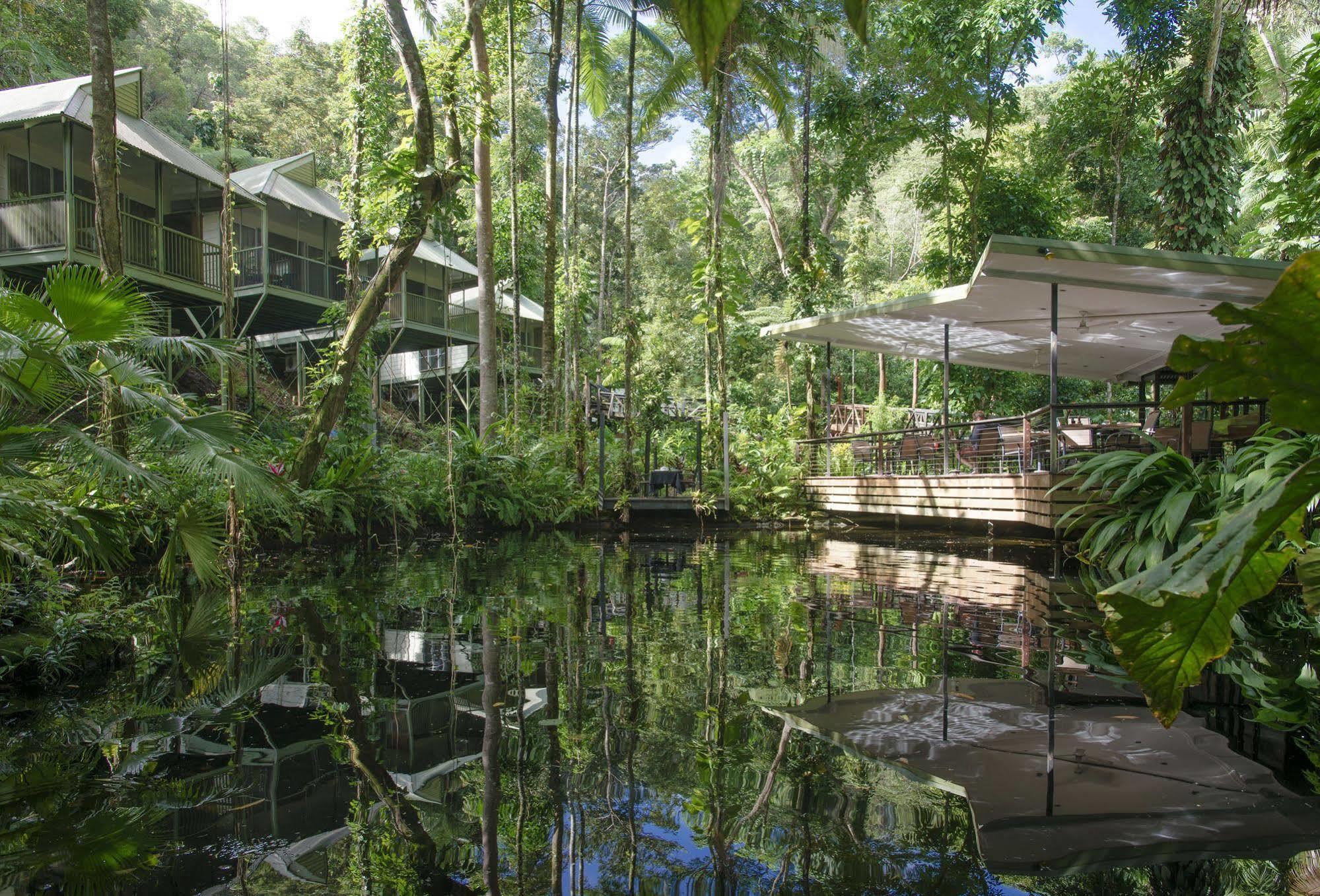 Daintree Ecolodge Экстерьер фото