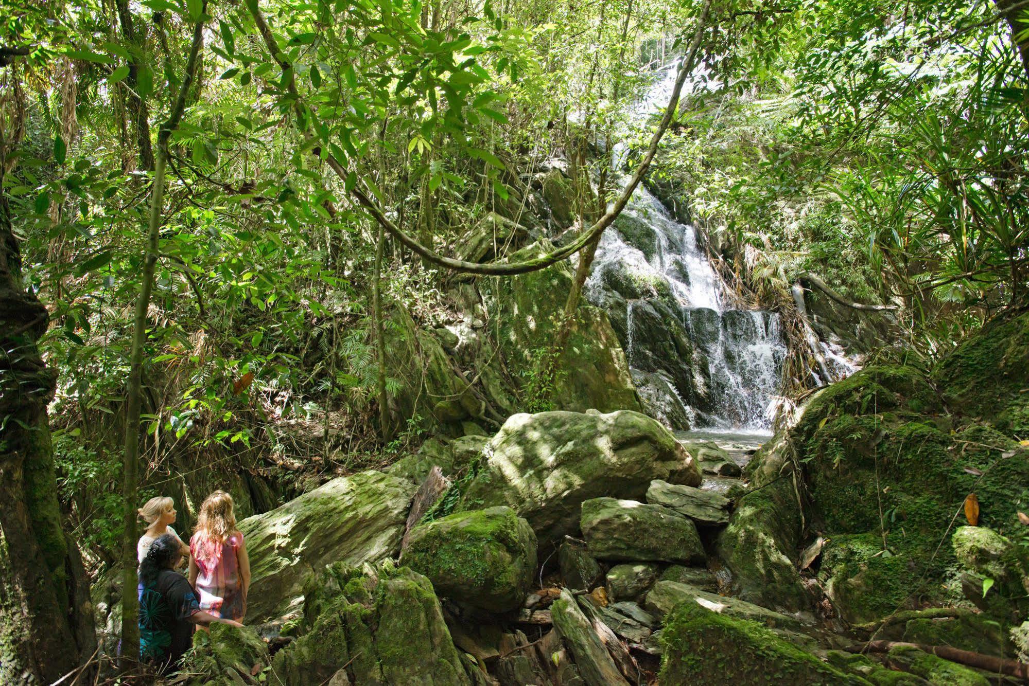 Daintree Ecolodge Экстерьер фото