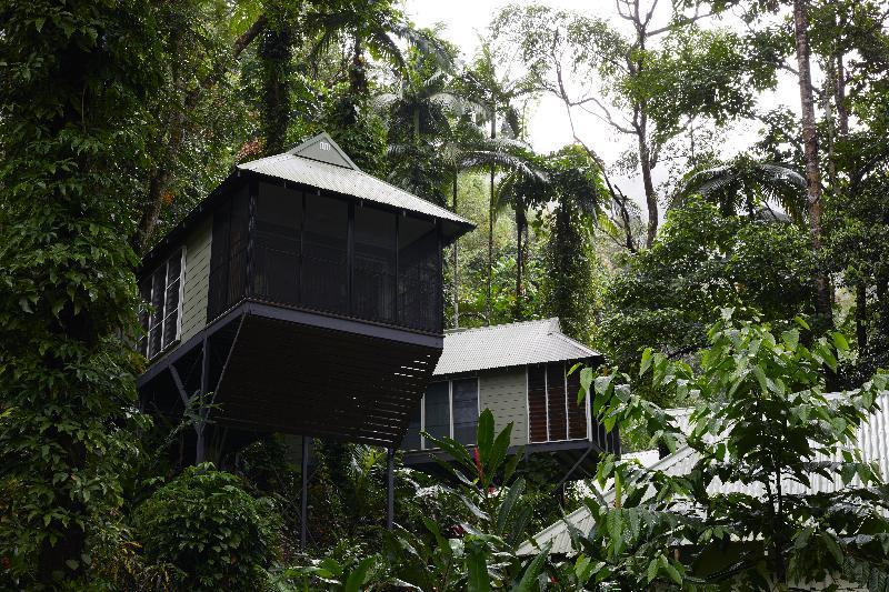 Daintree Ecolodge Экстерьер фото