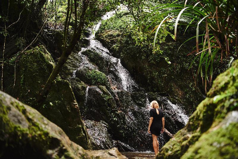 Daintree Ecolodge Экстерьер фото