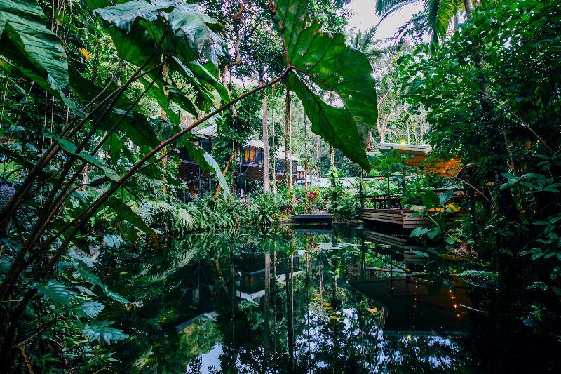 Daintree Ecolodge Экстерьер фото
