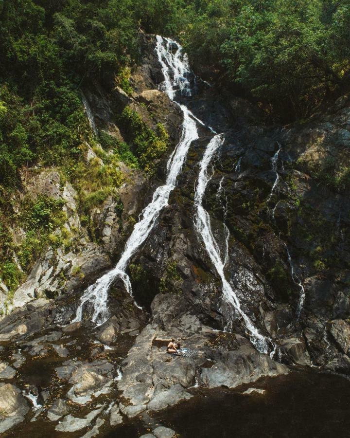 Daintree Ecolodge Экстерьер фото