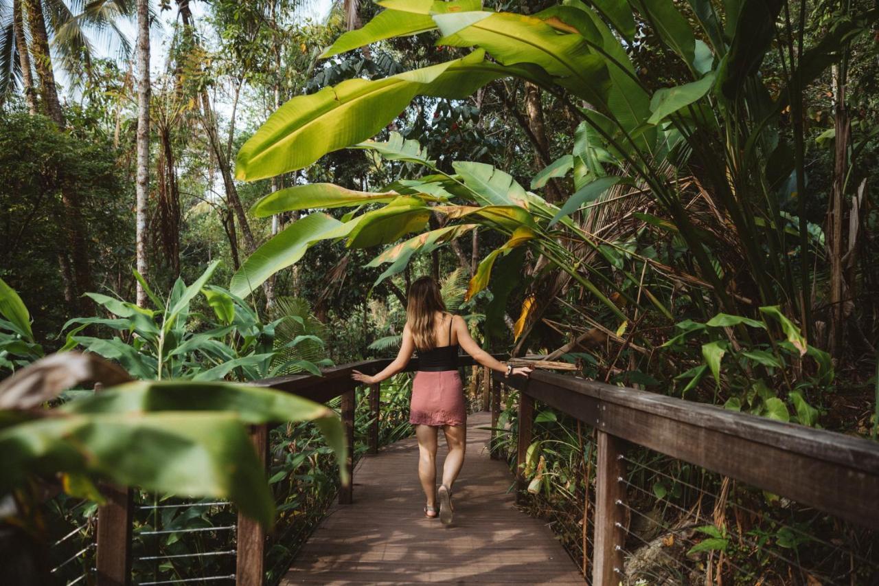 Daintree Ecolodge Экстерьер фото