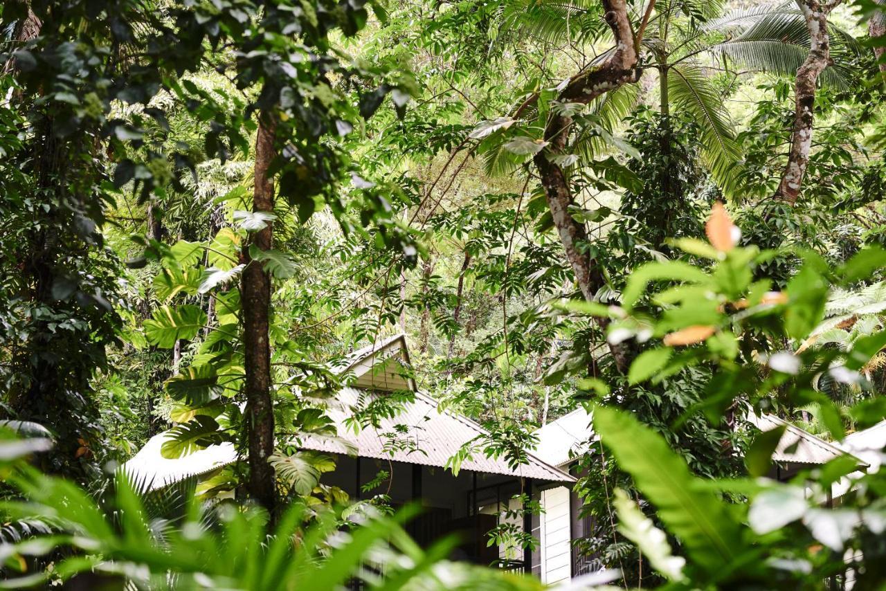 Daintree Ecolodge Экстерьер фото