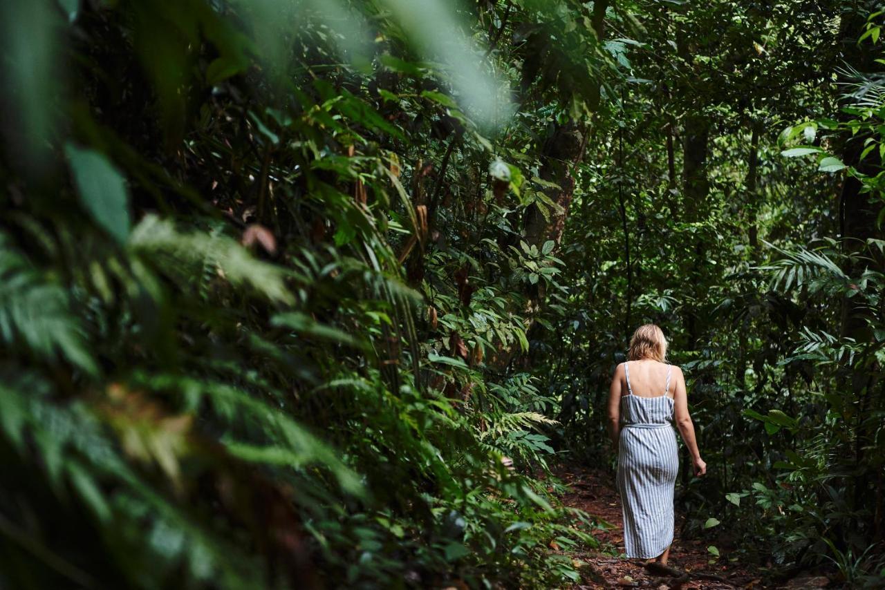 Daintree Ecolodge Экстерьер фото
